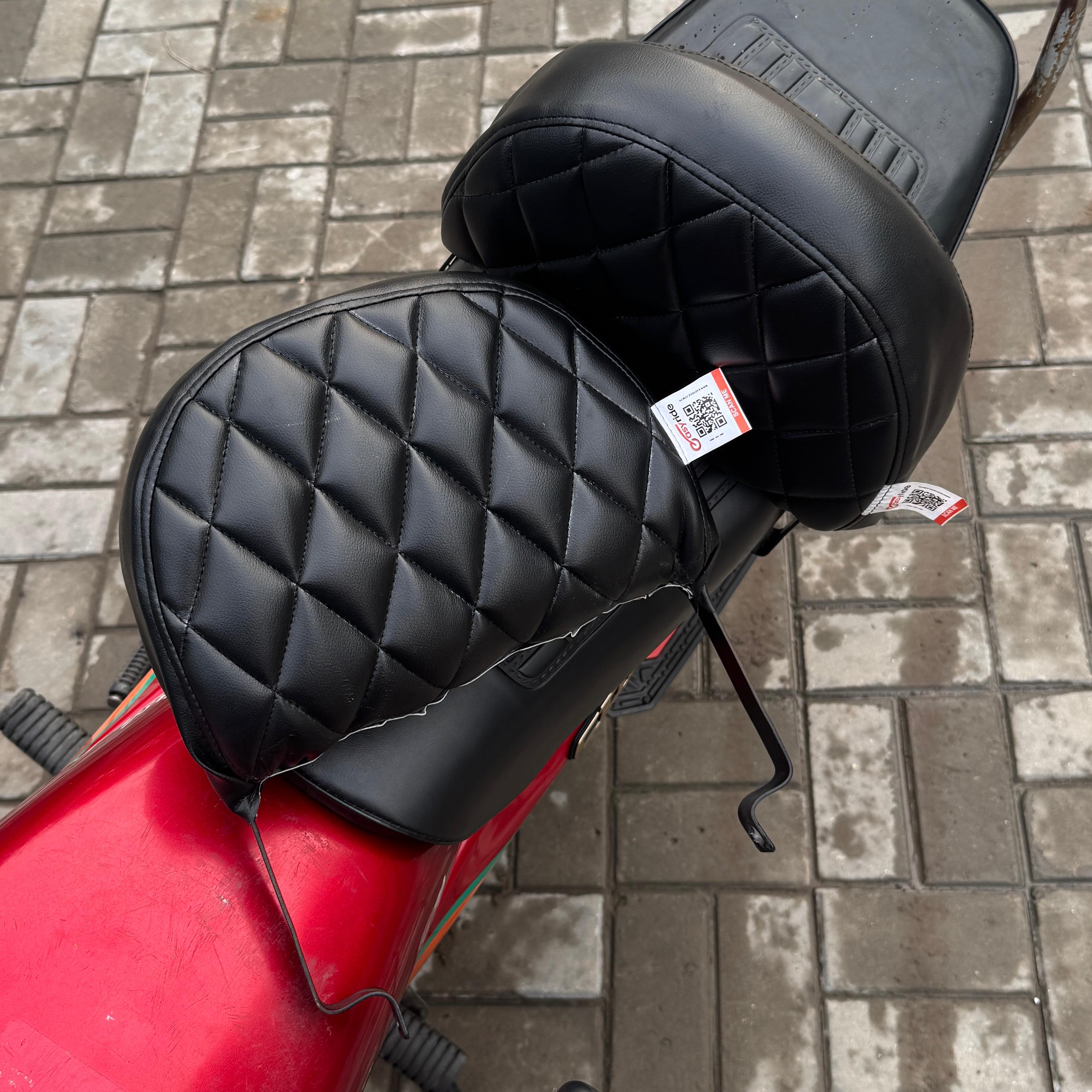 Bike Back Rest - Comfortable Back Support (Model-Specific)